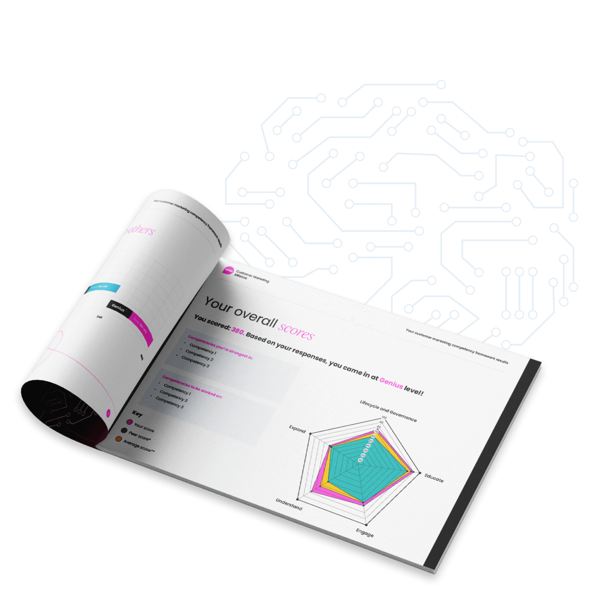 Competency Framework