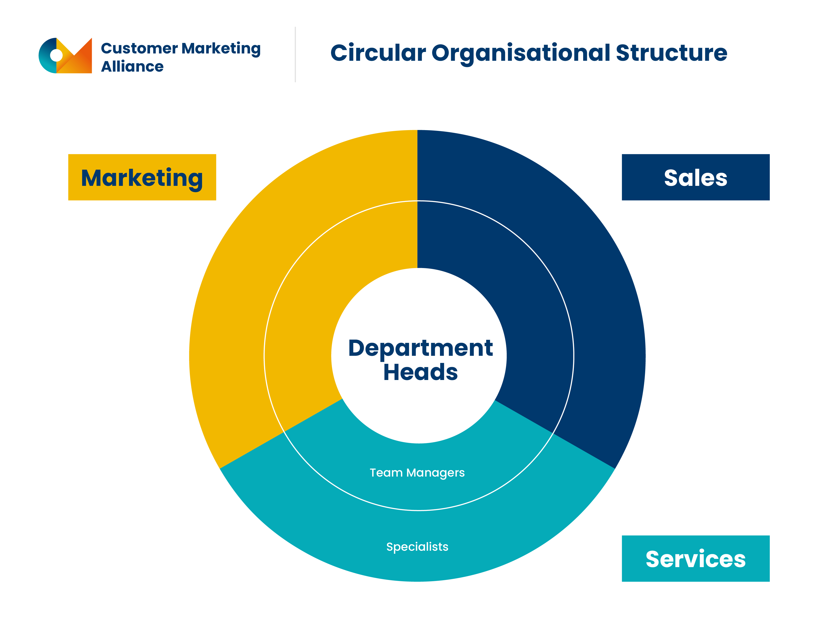 Circle chart showing a marketing organizational structure with CMO or leader in the middle, with team managers, and specialists on the outer circles. Other departments such as product, sales, and services then branch off from that.