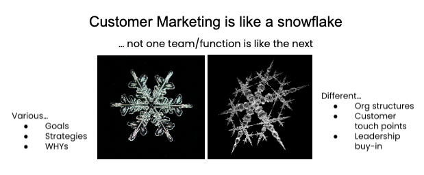 Image showing two different snowflakes under the caption: Customer Marketing is like a snowflake... not one team function is like the next.